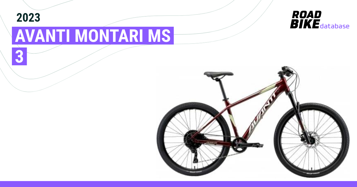 Avanti montari discount 3 2019 review