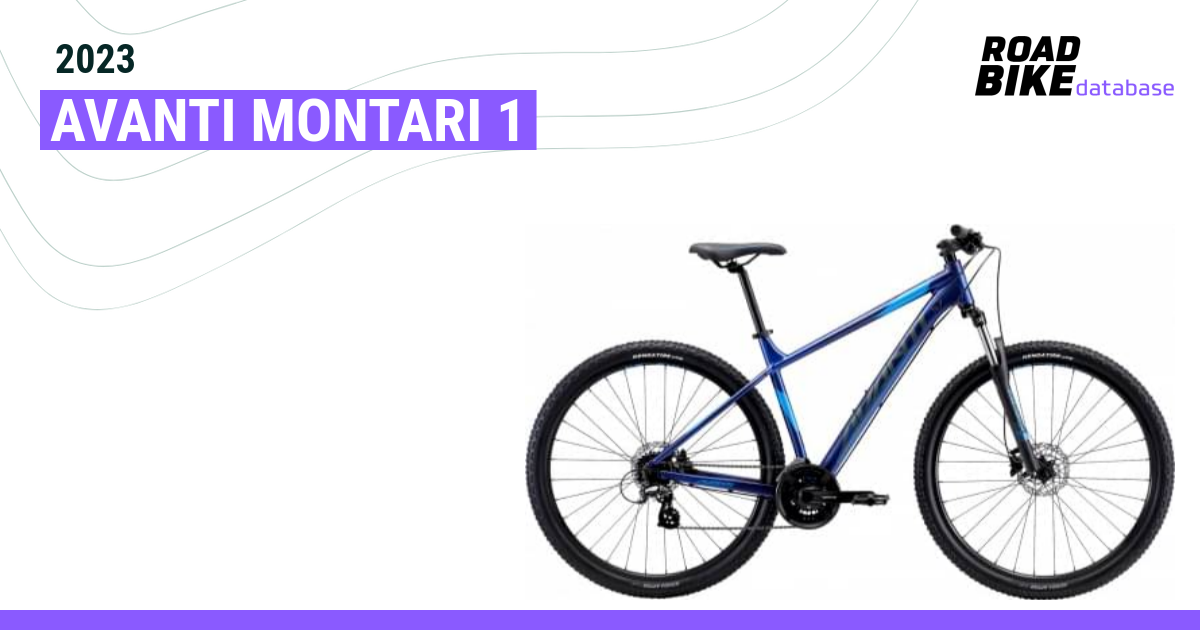 Avanti montari hot sale 1 2019