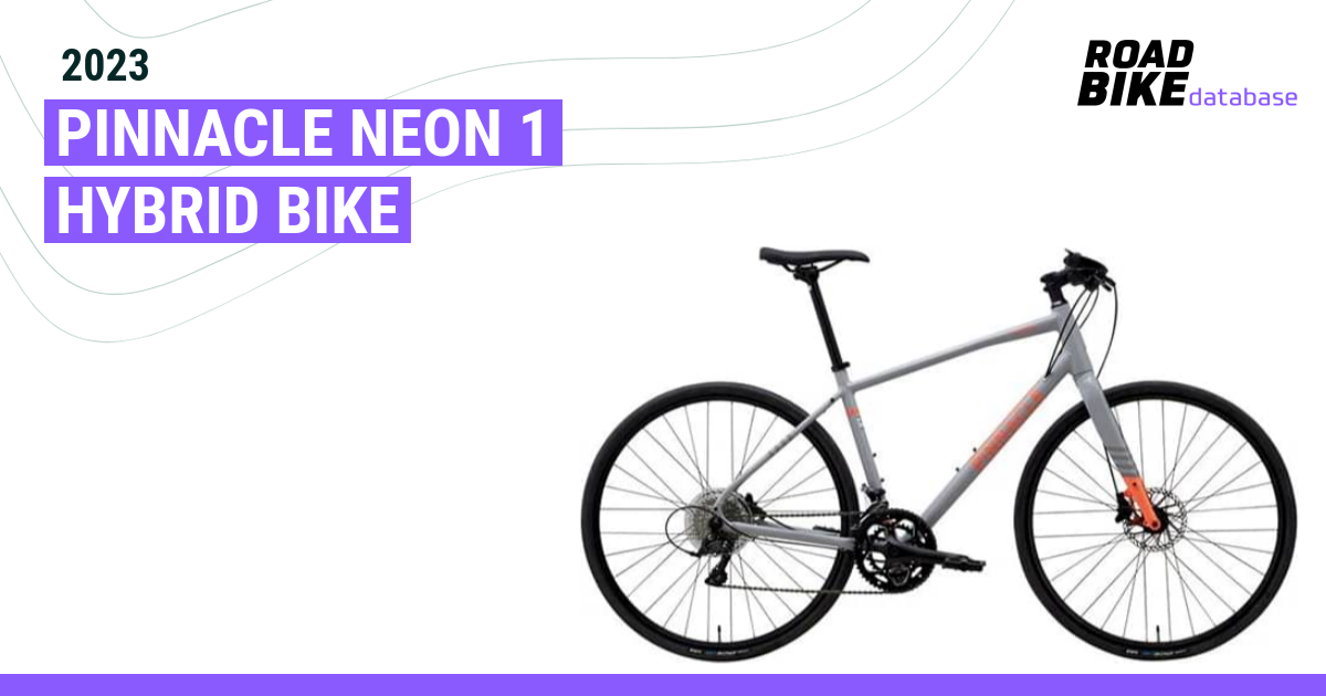pinnacle neon 1