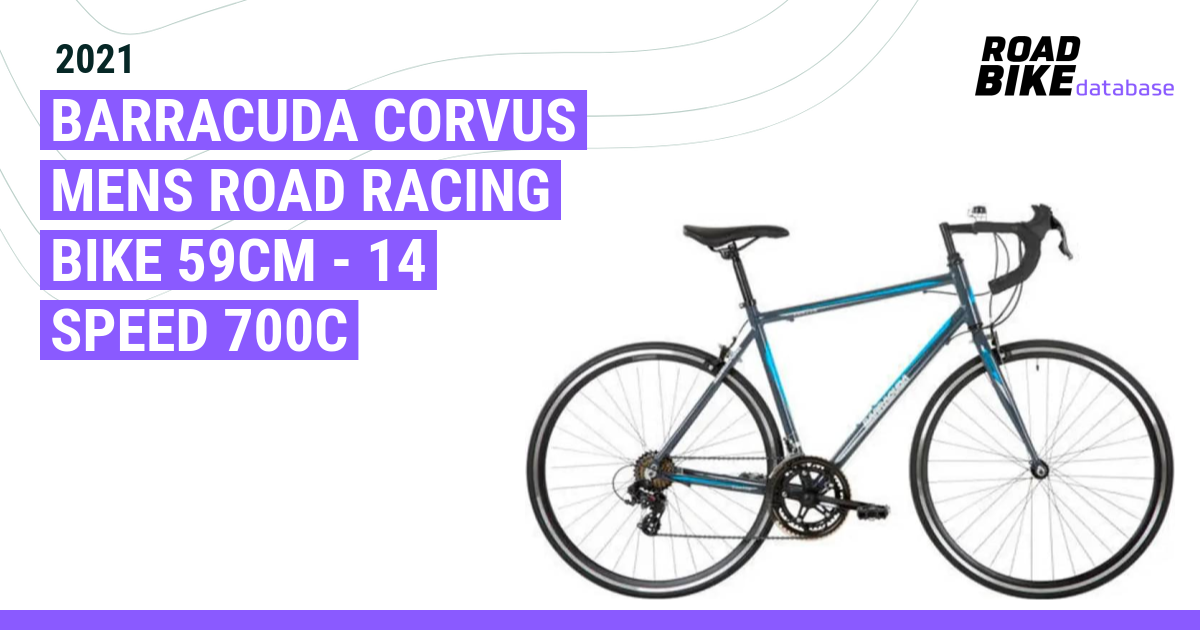 2021 BARRACUDA Corvus Mens Road Racing Bike 59cm 14 Speed 700c