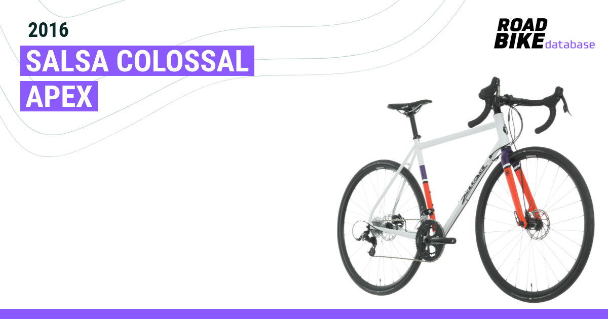 salsa colossal apex