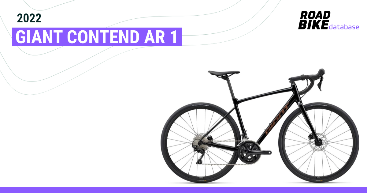 giant contend ar 1 2022