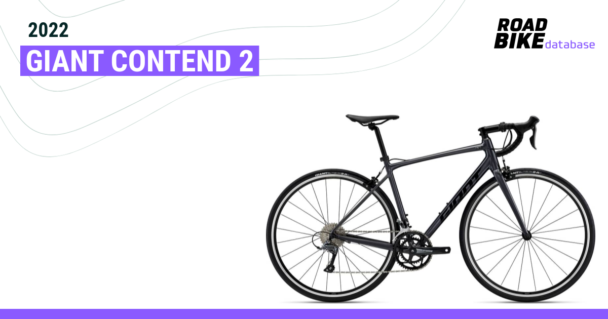 giant contend 2 2020