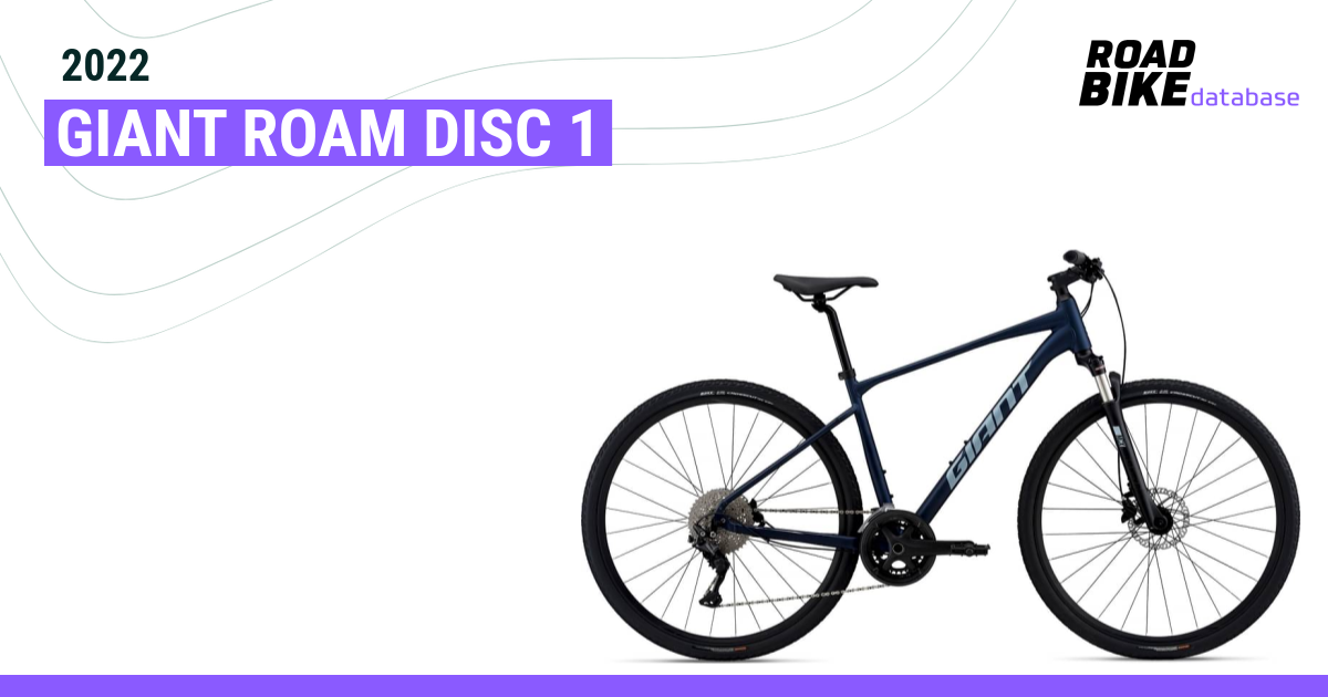 roam disc 1 2020